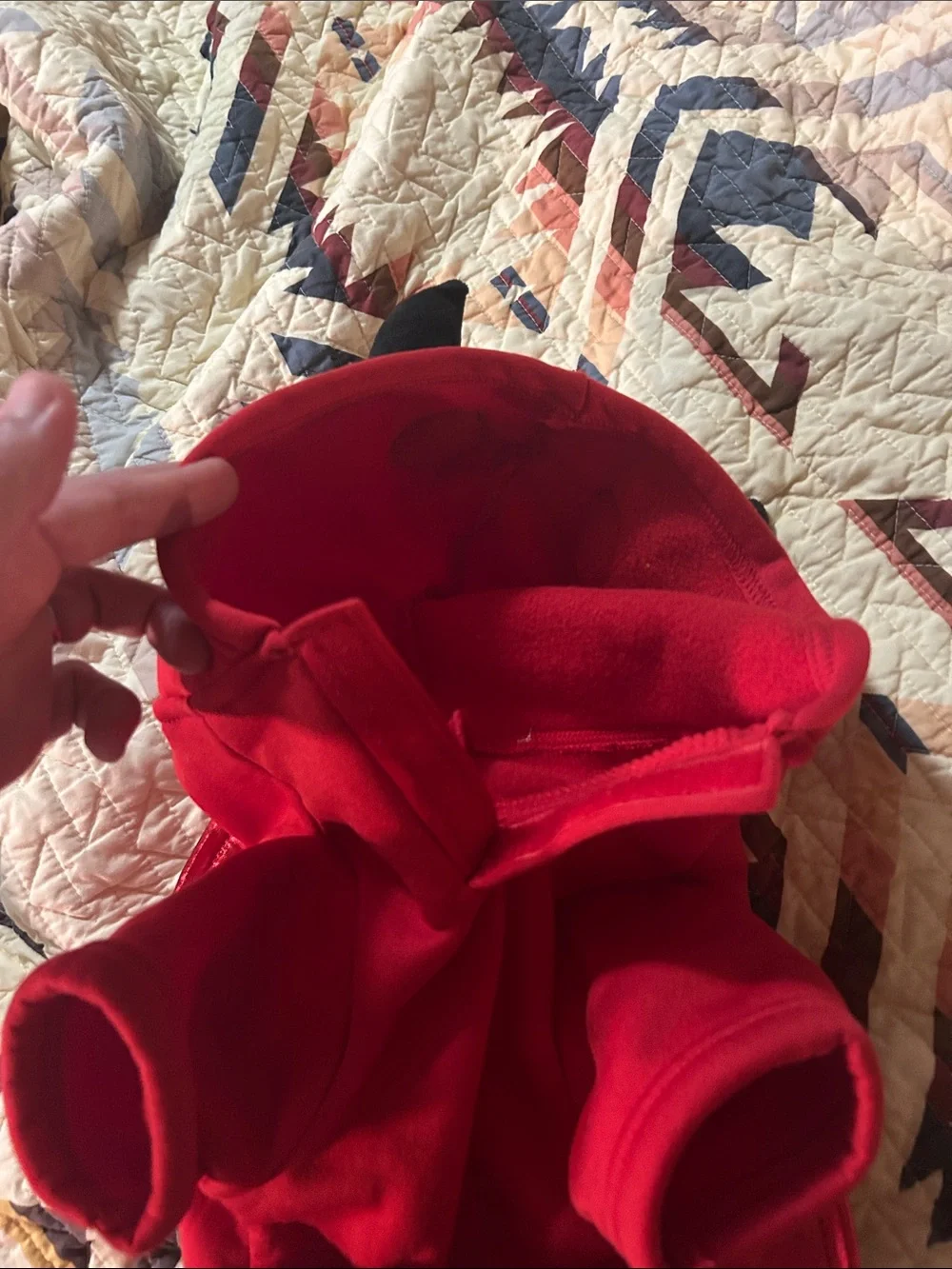 Red Dog Devil Costume with Wings